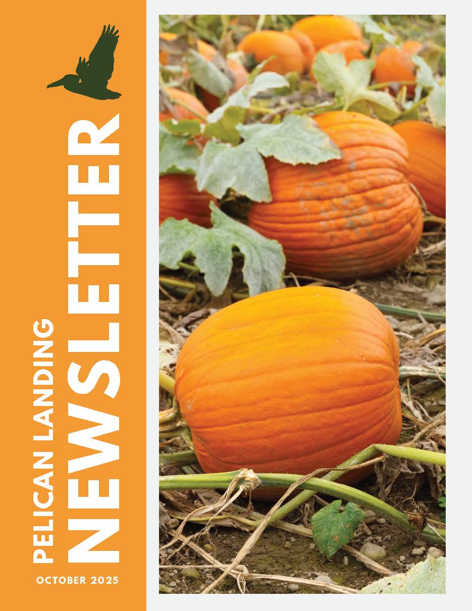 October Newsletter (4) 1